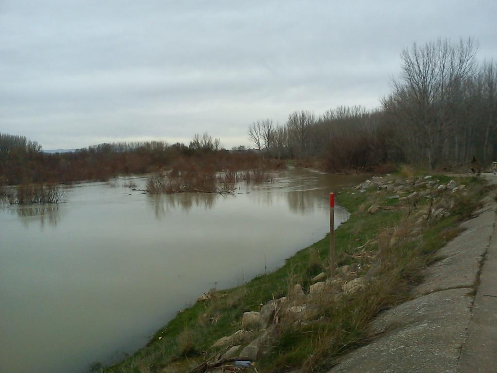 La Palmera De La Insula Alcala de Ebro Екстер'єр фото